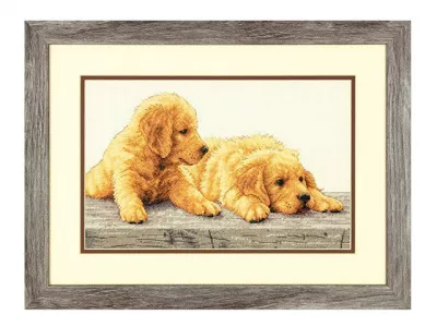 70-35309 Набор для вышивания Щенки золотистого ретривера (Golden Retriever Puppies), 35.5 x 22.8 см, Dimensions
