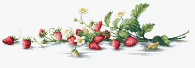 B2266 Набор для вышивания Этюд с земляникой (Etude with Strawberries), 50 x 14,5 см, Luca-S